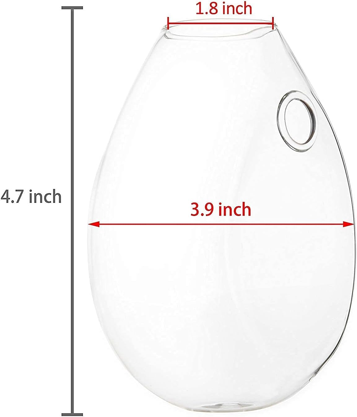 Wall-Mounted Glass Eco Planter - Water Drop