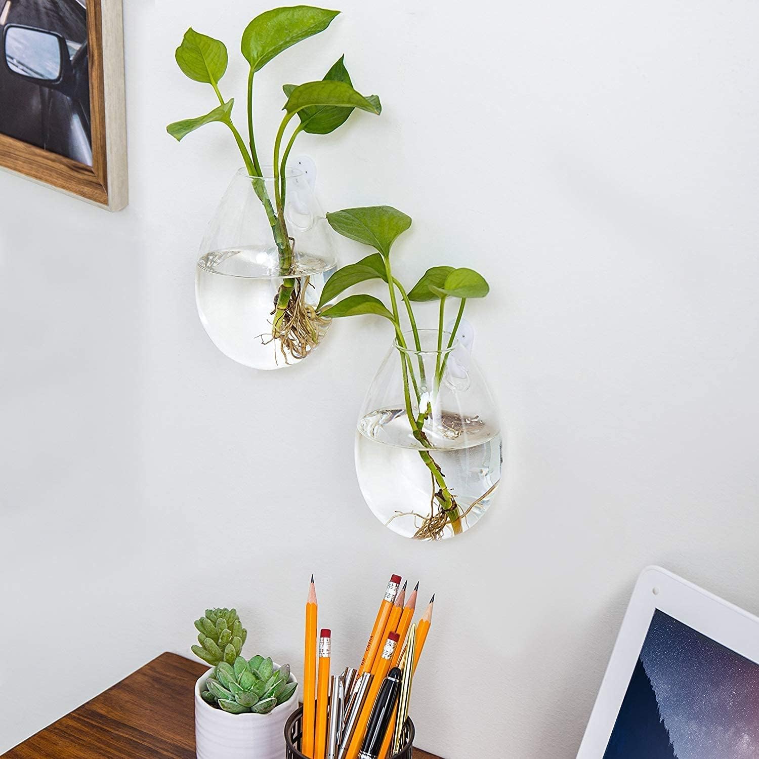 Wall-Mounted Glass Eco Planter - Water Drop