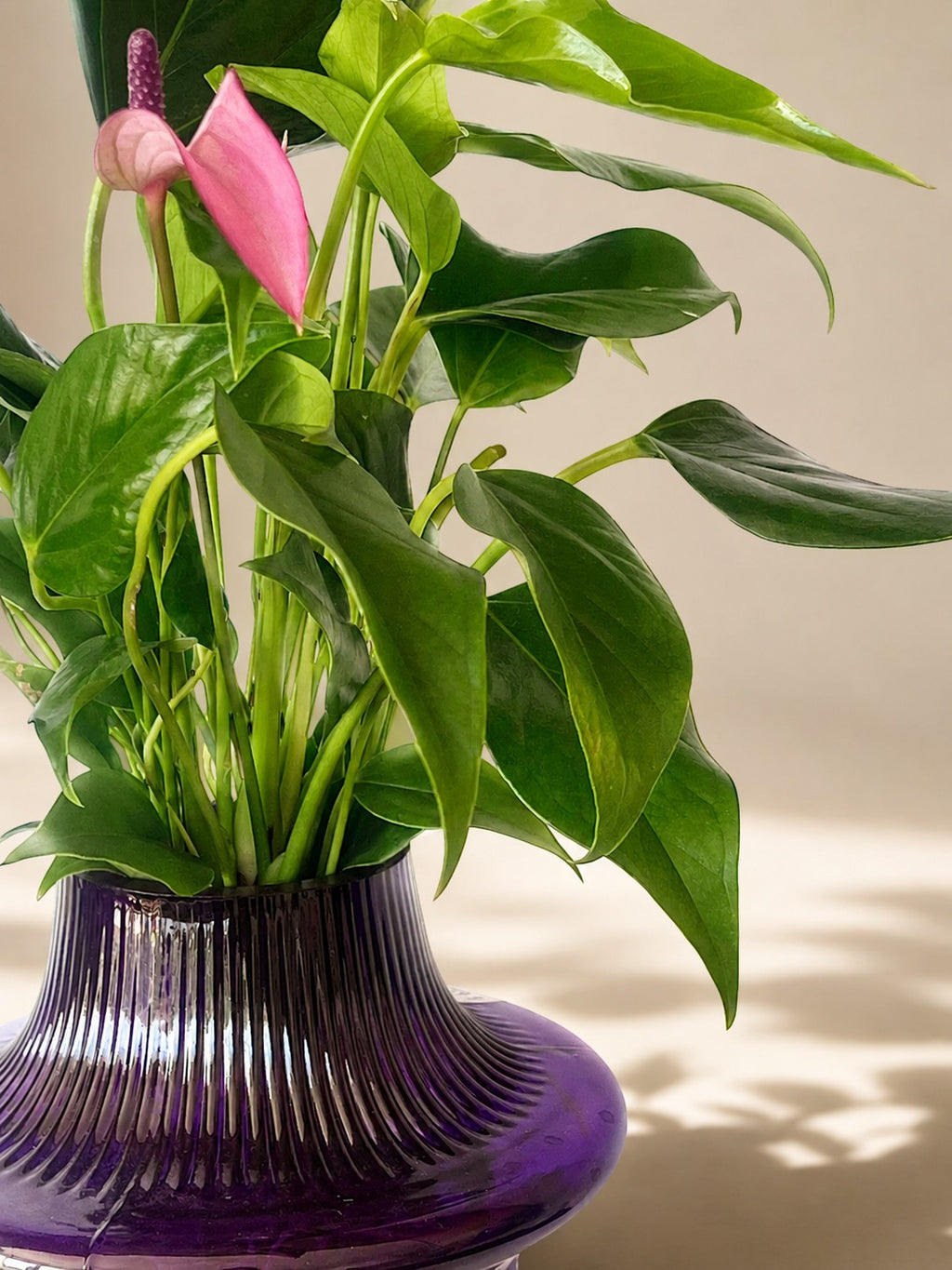 The Soho Grape Vessel