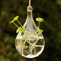 Suspended Hydro Glass Planter - Tear Drop