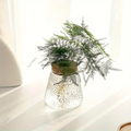 Cylindrical Eco Glass Planter - Hammer