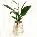 Cylindrical Eco Glass Planter - Smooth