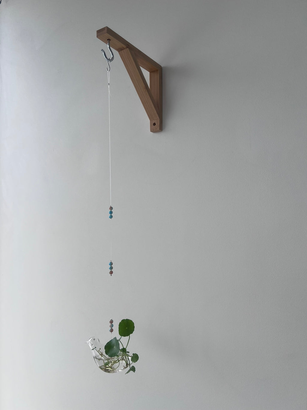 Suspended Hydro Glass Planter - Sparrow
