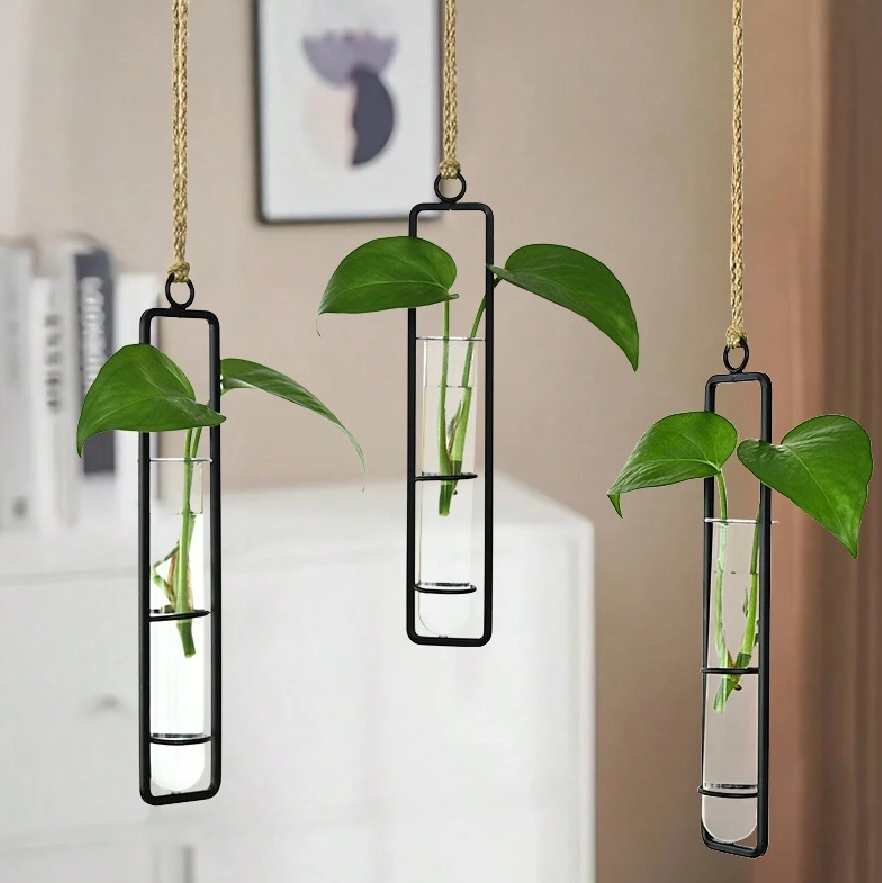 Suspended Hydro Glass Planter - Framed