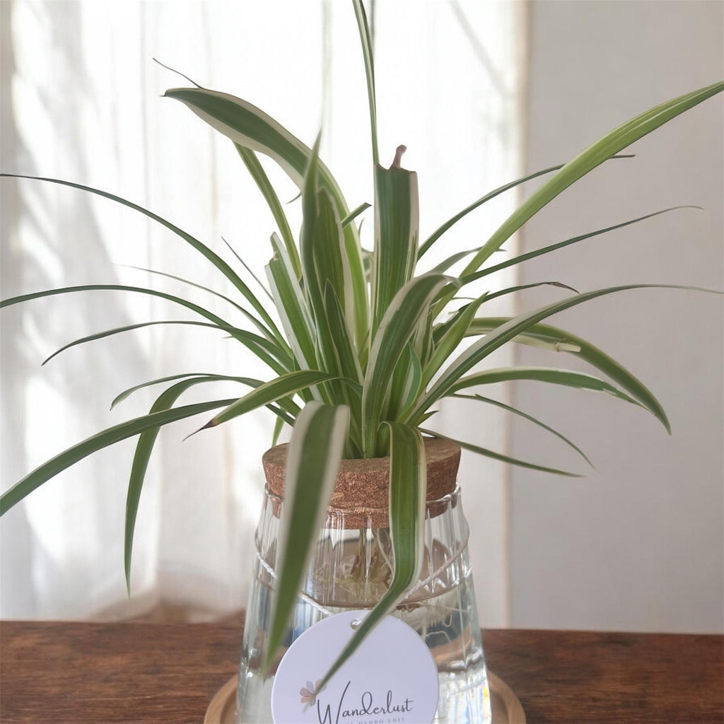 Cylindrical Eco Glass Planter - Ribbed