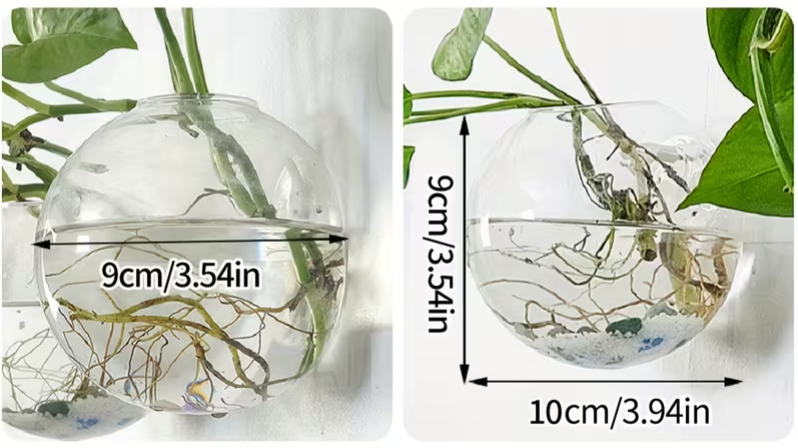 Wall-Mounted Eco Planter - Round