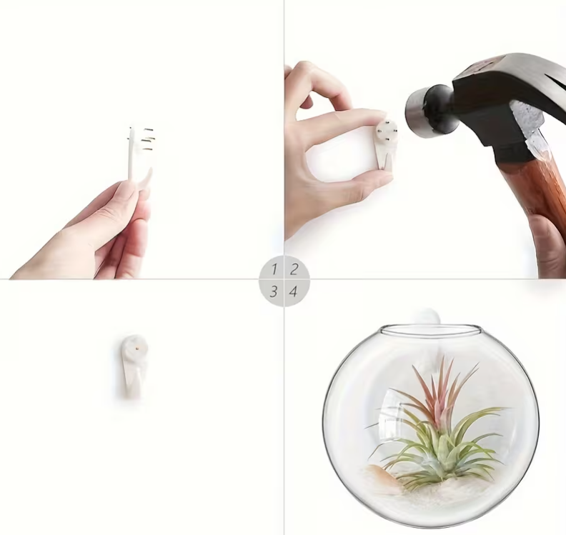 Wall-Mounted Glass Eco Planter – Oval