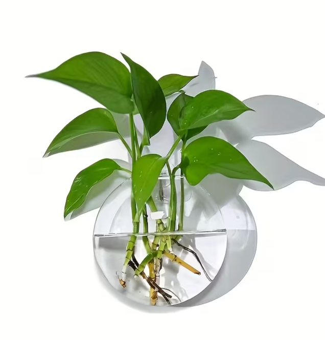 Wall-Mounted Eco Planter - Round