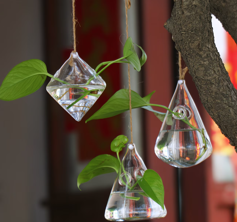Suspended Hydro Glass Planter - Water Drop