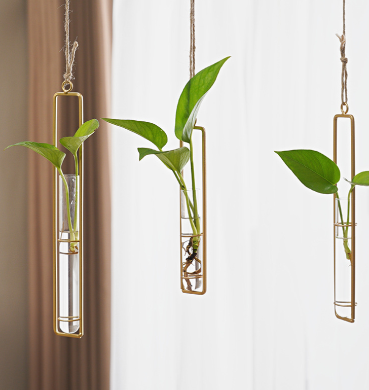 Suspended Hydro Glass Planter - Framed