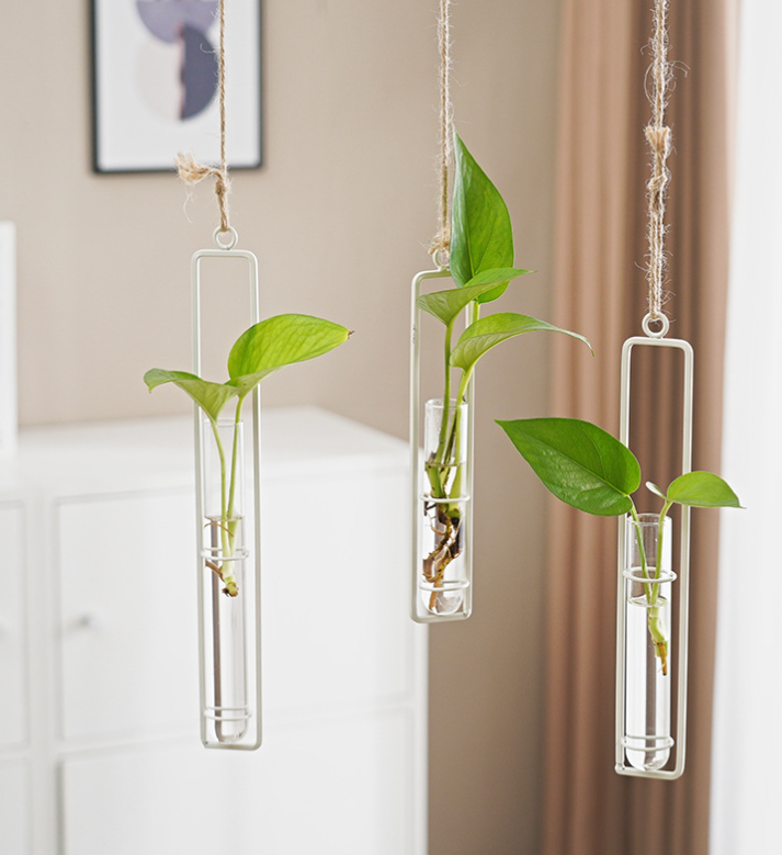 Suspended Hydro Glass Planter - Framed