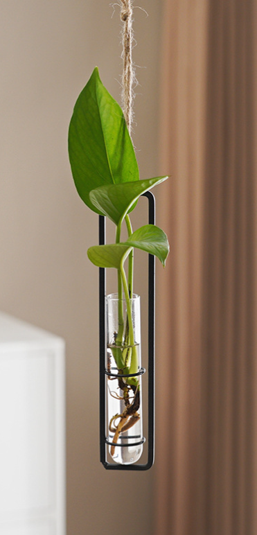 Suspended Hydro Glass Planter - Framed