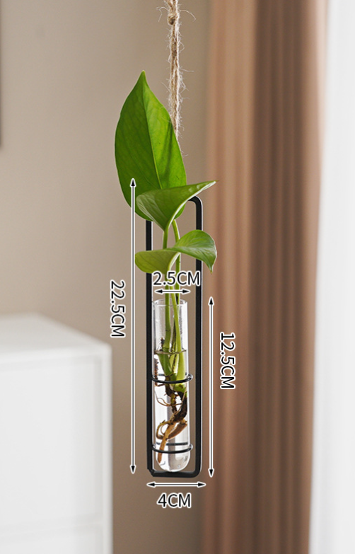 Suspended Hydro Glass Planter - Framed