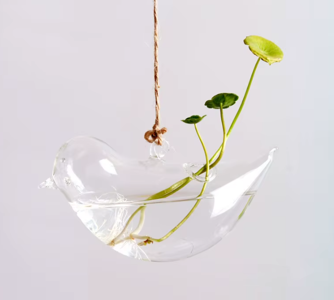 Suspended Hydro Glass Planter - Sparrow