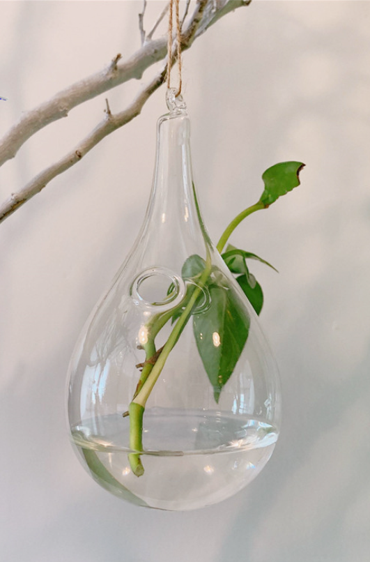 Suspended Hydro Glass Planter - Tear Drop