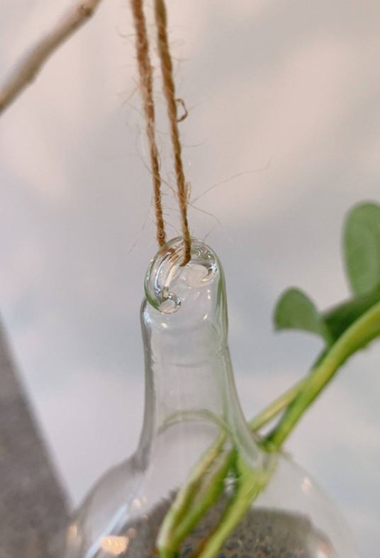 Suspended Hydro Glass Planter - Tear Drop
