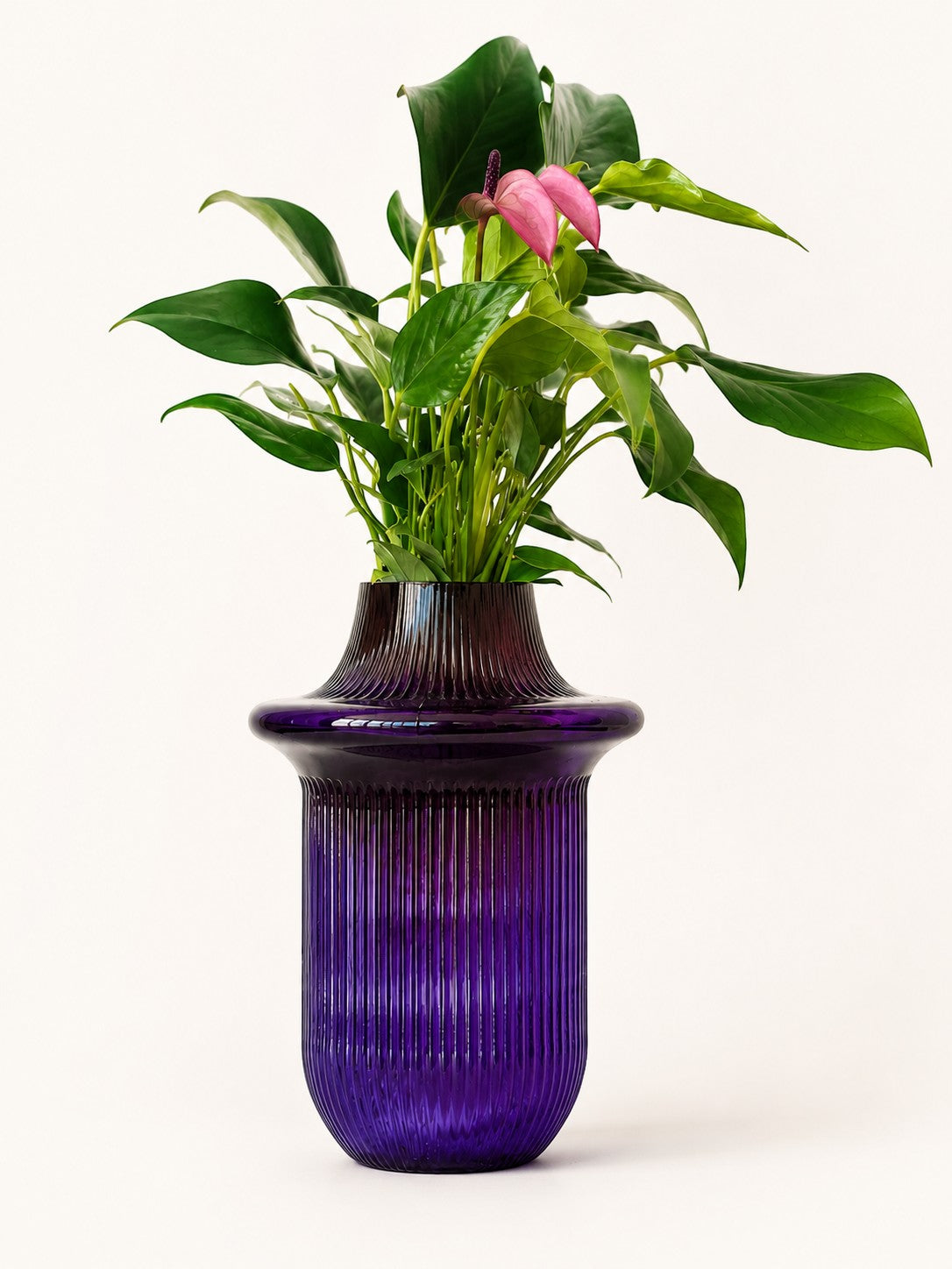 The Soho Grape Vessel