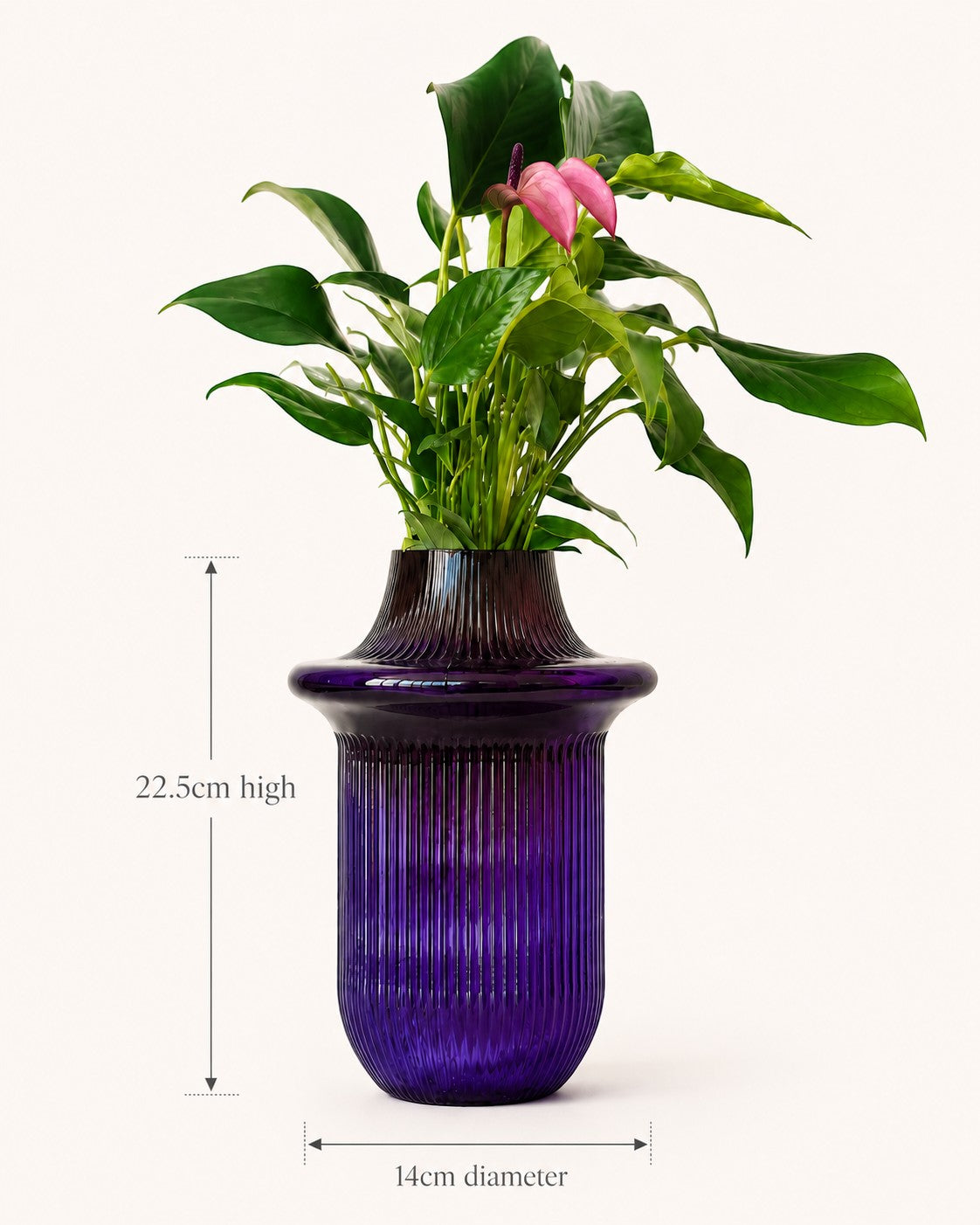 The Soho Grape Vessel