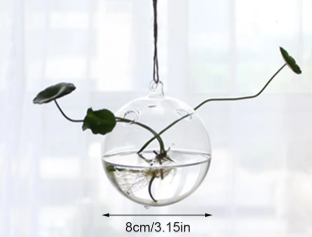 Suspended Hydro Glass Planter - Sphere