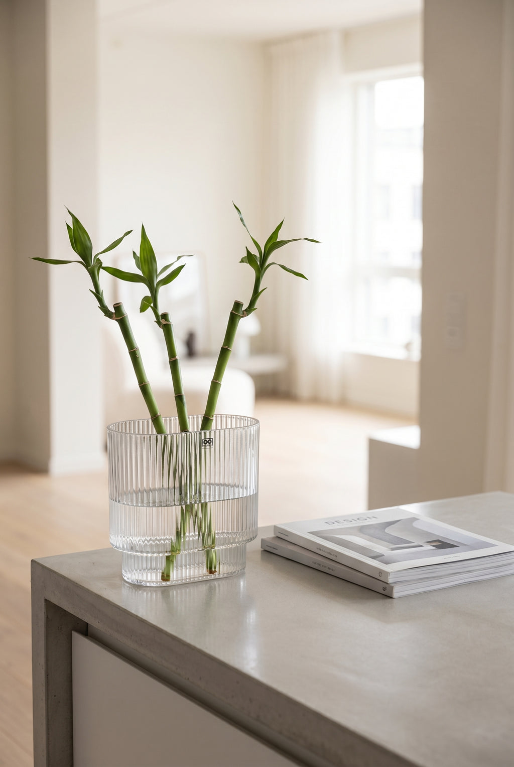The Lucent Vase