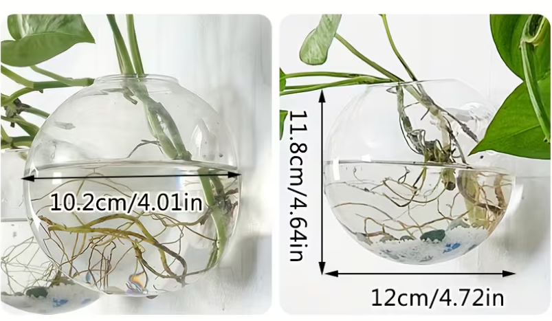 Wall-Mounted Eco Planter - Round