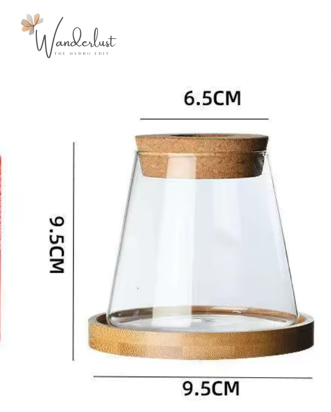 Cylindrical Eco Glass Planter - Smooth