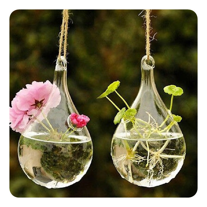 Suspended Hydro Glass Planter - Tear Drop